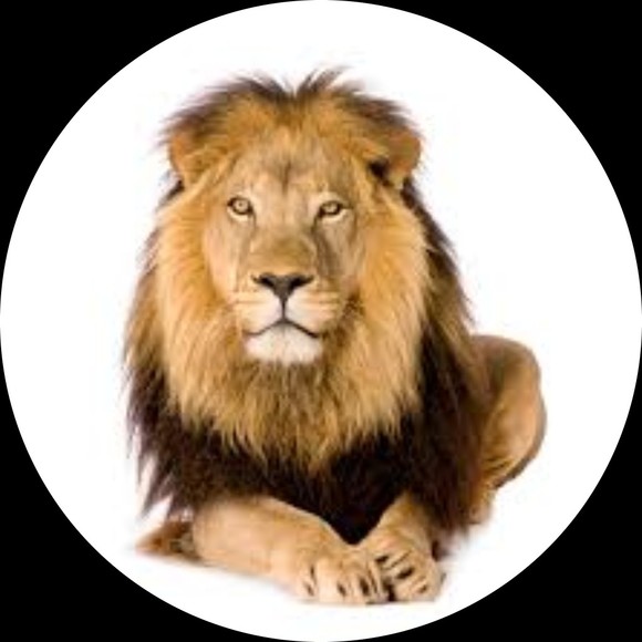 kingskid433